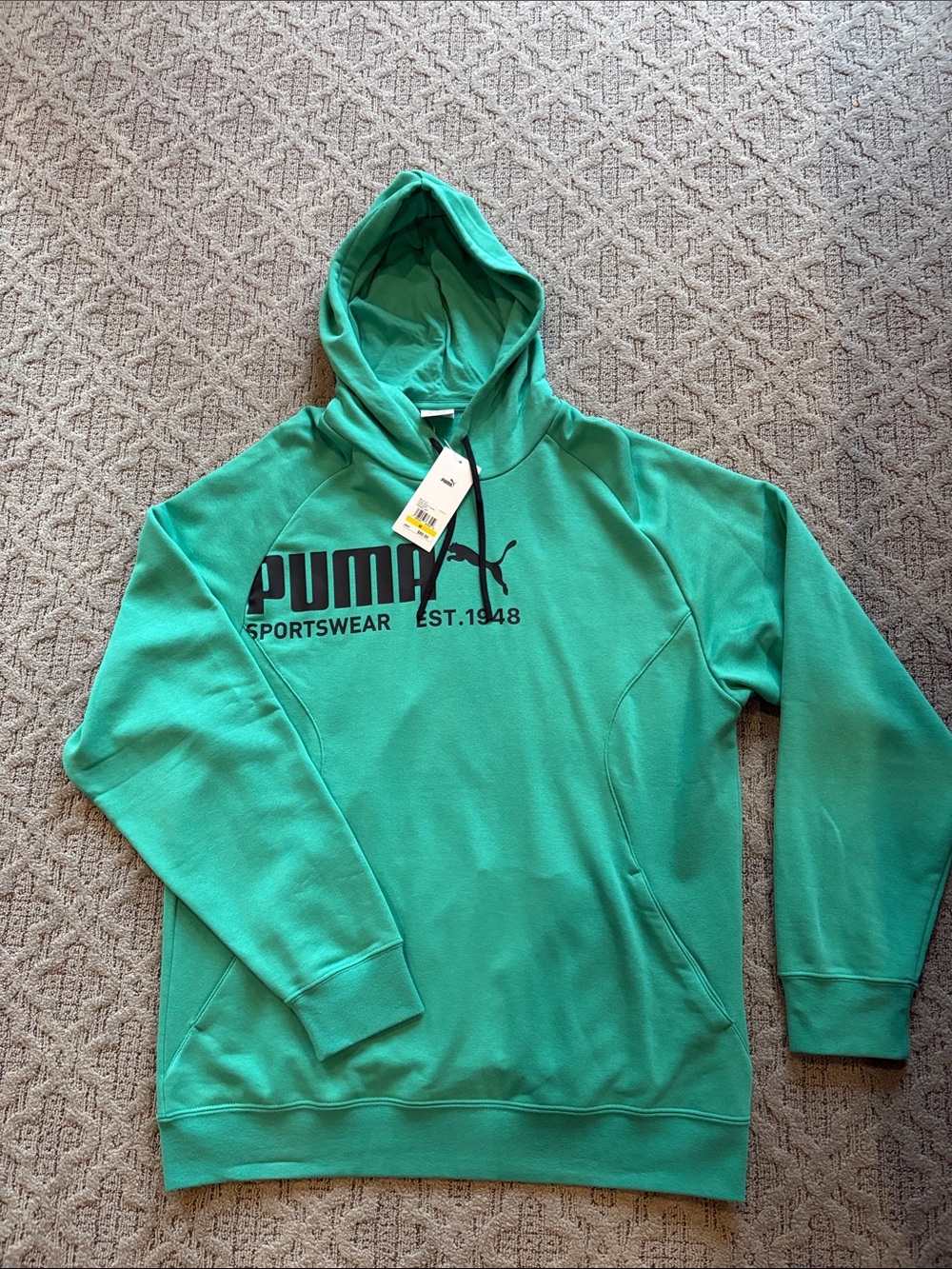 Puma Teal Green Men's Pullover Hoodie with Logo